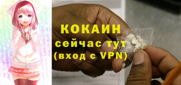 гидра Аркадак