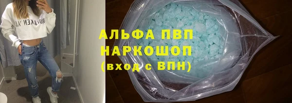 индика Новозыбков