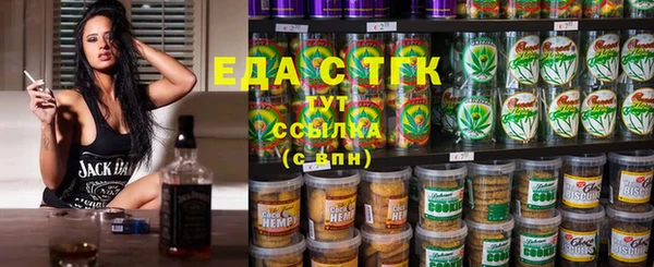 индика Новозыбков