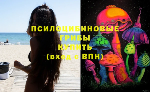 гидра Аркадак