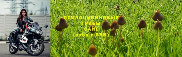 гидра Аркадак
