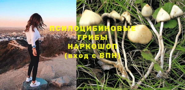хмурый Армянск