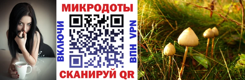 продажа наркотиков  Рыбное  Псилоцибиновые грибы Magic Shrooms 